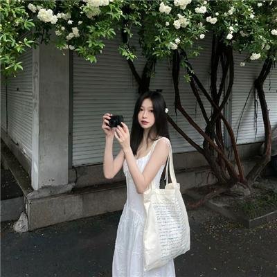 南风知我意 在线观看