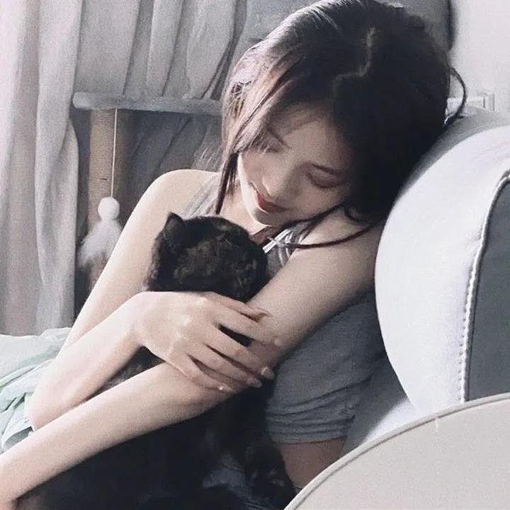 狐门秘事第一季 在线观看